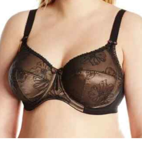 Elomi Imogen bra Elegant Black copper Lace embroidered NEW 36H underwire - Picture 1 of 6